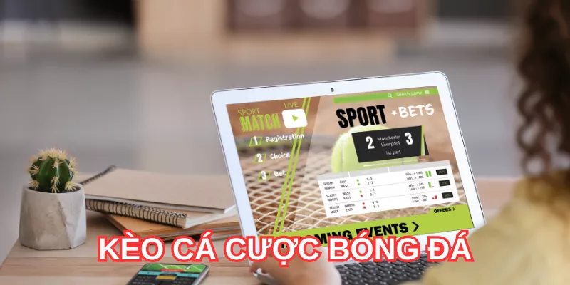 kèo cá cược bóng đá ww88